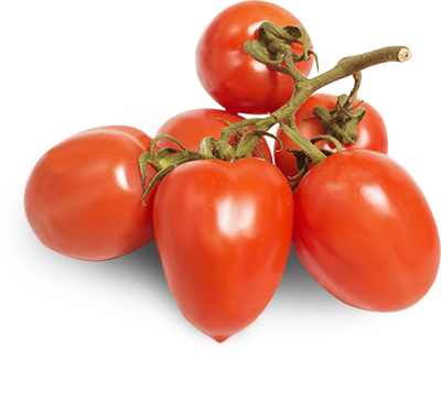 Ντομάτα Πομοντόρι